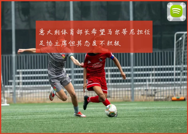 意大利体育部长希望马尔蒂尼担任足协主席但其态度不积极